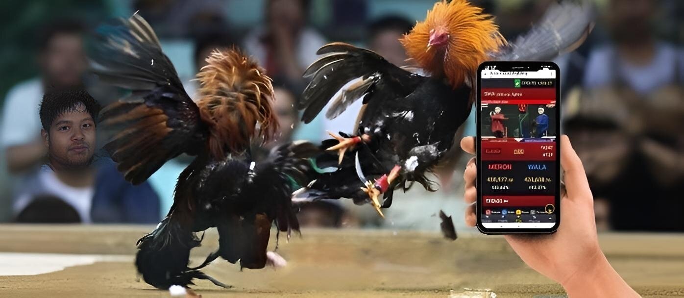 More information about "Cara Bermain Sabung Ayam di Smartphone"